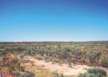 Strong land access frameworks
will help explorers move projects from concept to discovery. Image: Shunkiaus/shutterstock.com
