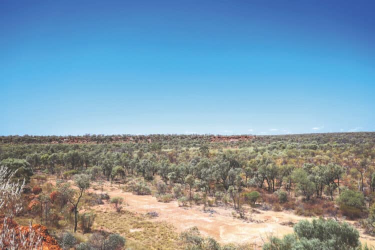 Strong land access frameworks 
will help explorers move projects from concept to discovery. Image: Shunkiaus/shutterstock.com